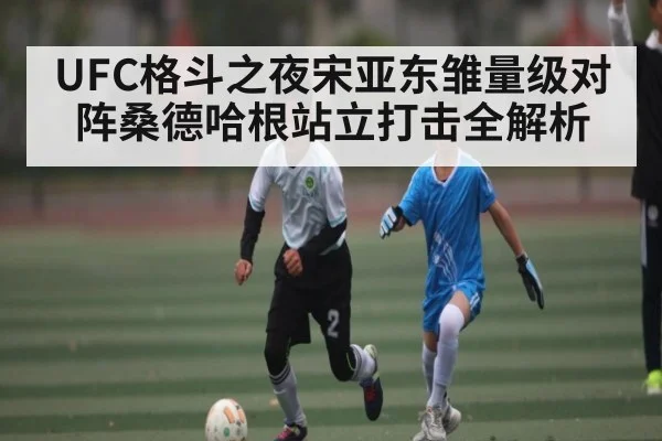 UFC格斗之夜宋亚东雏量级对阵桑德哈根站立打击全解析