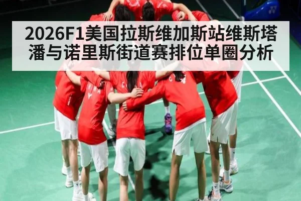 2026F1美国拉斯维加斯站维斯塔潘与诺里斯街道赛排位单圈分析